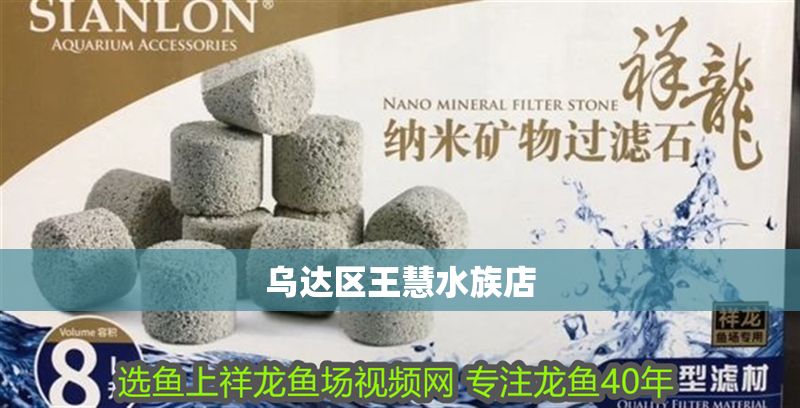 烏達區王慧水族店 烏達區王慧水族店 全國水族館企業名錄 第1張