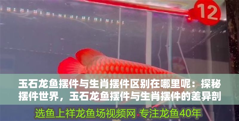 玉石龍魚擺件與生肖擺件區(qū)別在哪里呢：探秘擺件世界，玉石龍魚擺件與生肖擺件的差異剖析