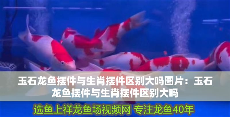 玉石龍魚擺件與生肖擺件區(qū)別大嗎圖片：玉石龍魚擺件與生肖擺件區(qū)別大嗎