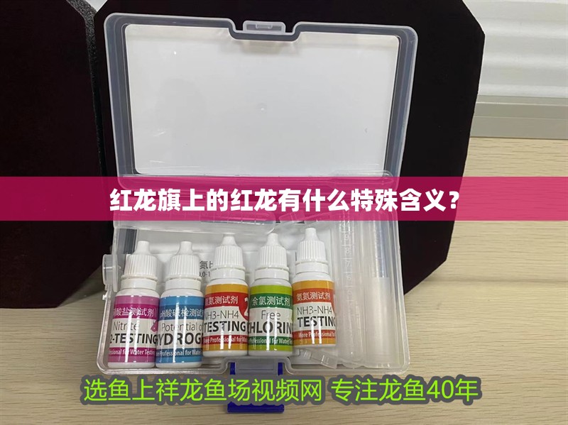紅龍旗上的紅龍有什么特殊含義？