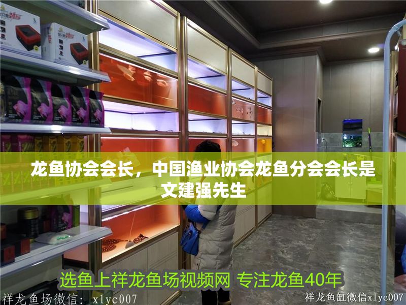 龍魚協(xié)會會長，中國漁業(yè)協(xié)會龍魚分會會長是文建強先生