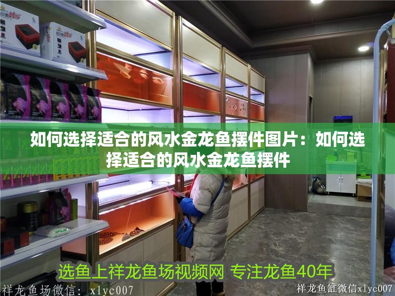 如何選擇適合的風水金龍魚擺件圖片：如何選擇適合的風水金龍魚擺件