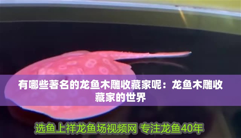 有哪些著名的龍魚木雕收藏家呢：龍魚木雕收藏家的世界