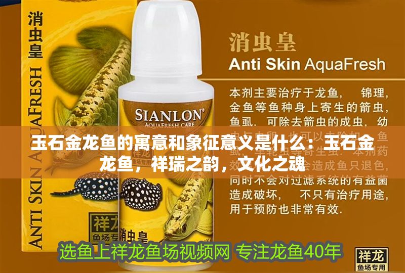 玉石金龍魚的寓意和象征意義是什么：玉石金龍魚，祥瑞之韻，文化之魂