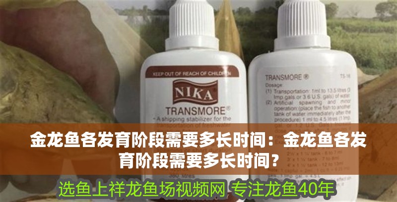 金龍魚各發育階段需要多長時間：金龍魚各發育階段需要多長時間？
