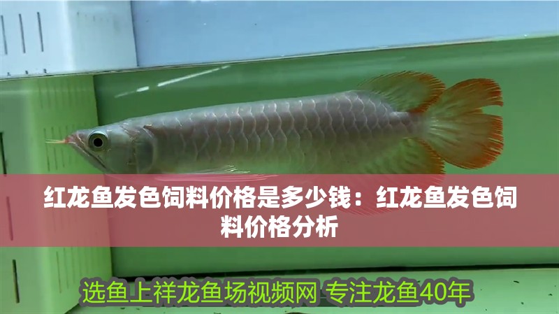 紅龍魚發色飼料價格是多少錢：紅龍魚發色飼料價格分析