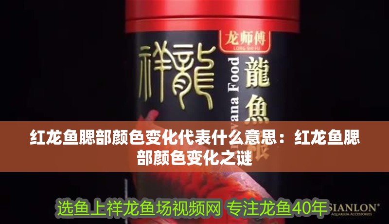 紅龍魚腮部顏色變化代表什么意思：紅龍魚腮部顏色變化之謎