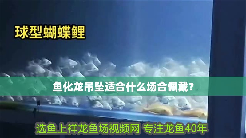 魚化龍吊墜適合什么場合佩戴？