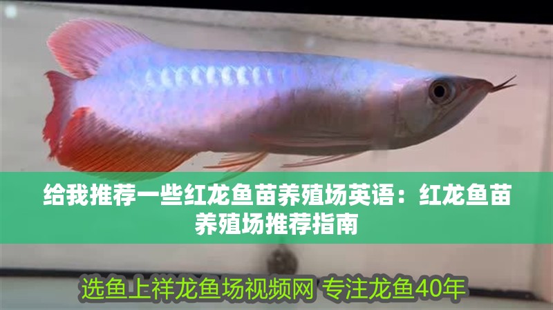 給我推薦一些紅龍魚苗養(yǎng)殖場英語：紅龍魚苗養(yǎng)殖場推薦指南