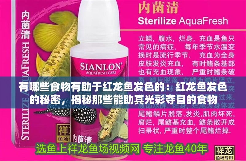 有哪些食物有助于紅龍魚發(fā)色的：紅龍魚發(fā)色的秘密，揭秘那些能助其光彩奪目的食物