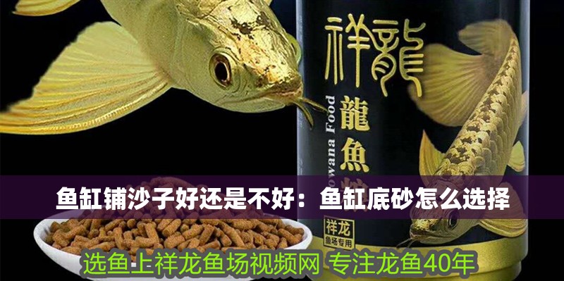 魚缸鋪沙子好還是不好：魚缸底砂怎么選擇