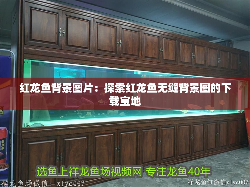 龍魚吃甲蟲嗎會死嗎為什么：龍魚可以吃甲蟲嗎為什么龍魚吃甲蟲會死嗎為什么