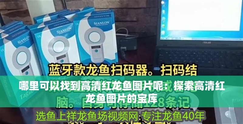 哪里可以找到高清紅龍魚(yú)圖片呢：探索高清紅龍魚(yú)圖片的寶庫(kù)