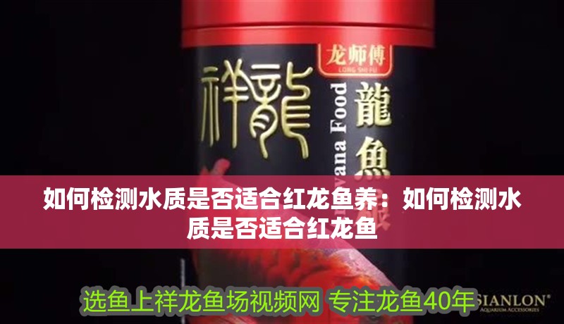 如何檢測(cè)水質(zhì)是否適合紅龍魚養(yǎng)：如何檢測(cè)水質(zhì)是否適合紅龍魚