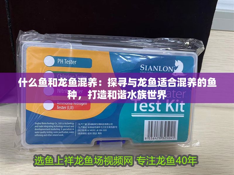 什么魚和龍魚混養：探尋與龍魚適合混養的魚種，打造和諧水族世界