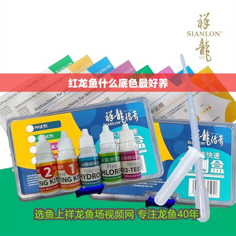 魚缸用增氧泵價格是多少:魚缸增氧機-xtrac增氧機-xtrac增氧機 紅龍魚什么底色最好養 龍魚百科 紅龍魚什么底色最好養 紅龍魚什么底色最好養 龍魚百科