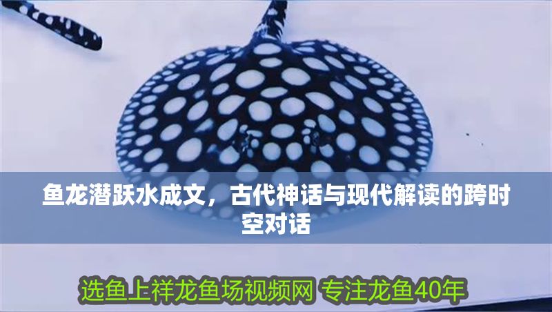 魚龍潛躍水成文，古代神話與現代解讀的跨時空對話