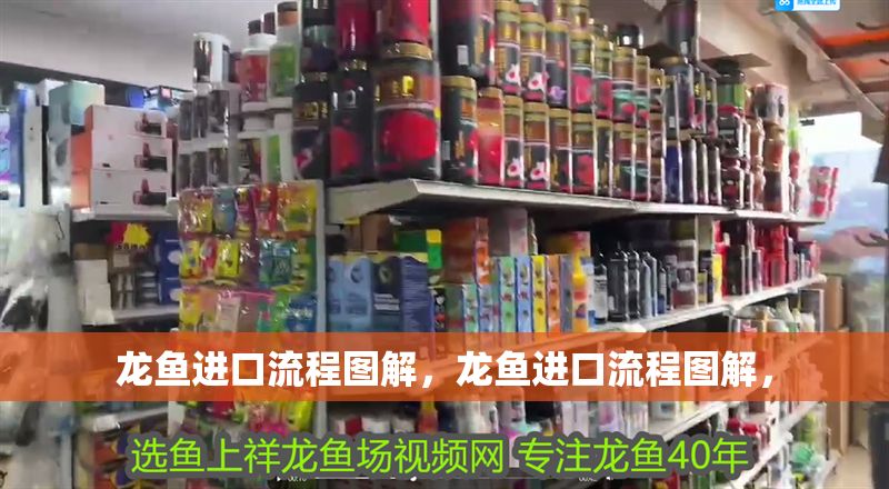 龍魚進口流程圖解，龍魚進口流程圖解，