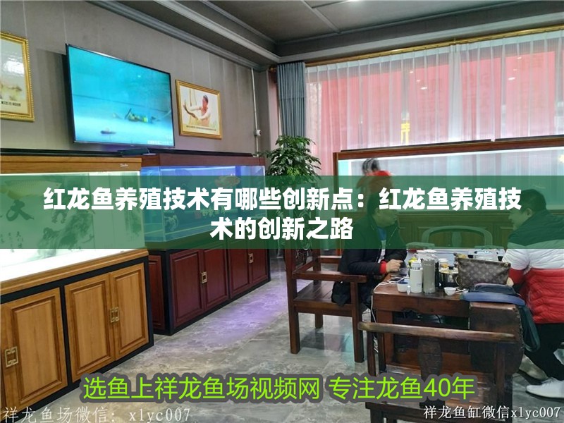 紅龍魚養殖技術有哪些創新點：紅龍魚養殖技術的創新之路