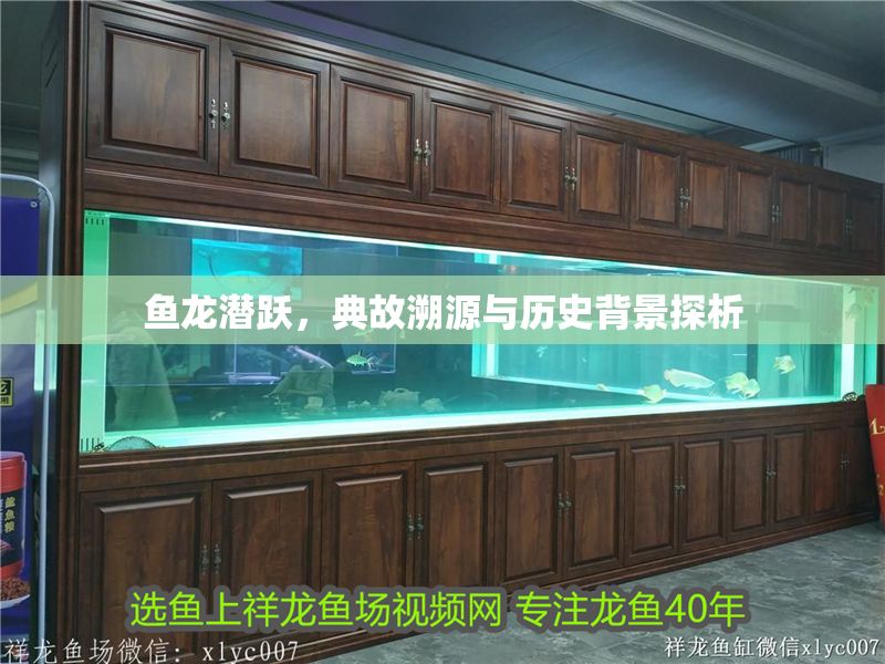 魚龍潛躍，典故溯源與歷史背景探析
