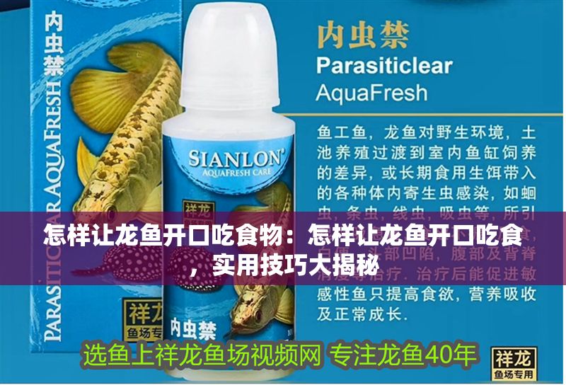 怎樣讓龍魚開口吃食物：怎樣讓龍魚開口吃食，實用技巧大揭秘