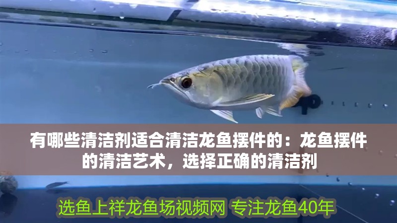 有哪些清潔劑適合清潔龍魚擺件的：龍魚擺件的清潔藝術，選擇正確的清潔劑