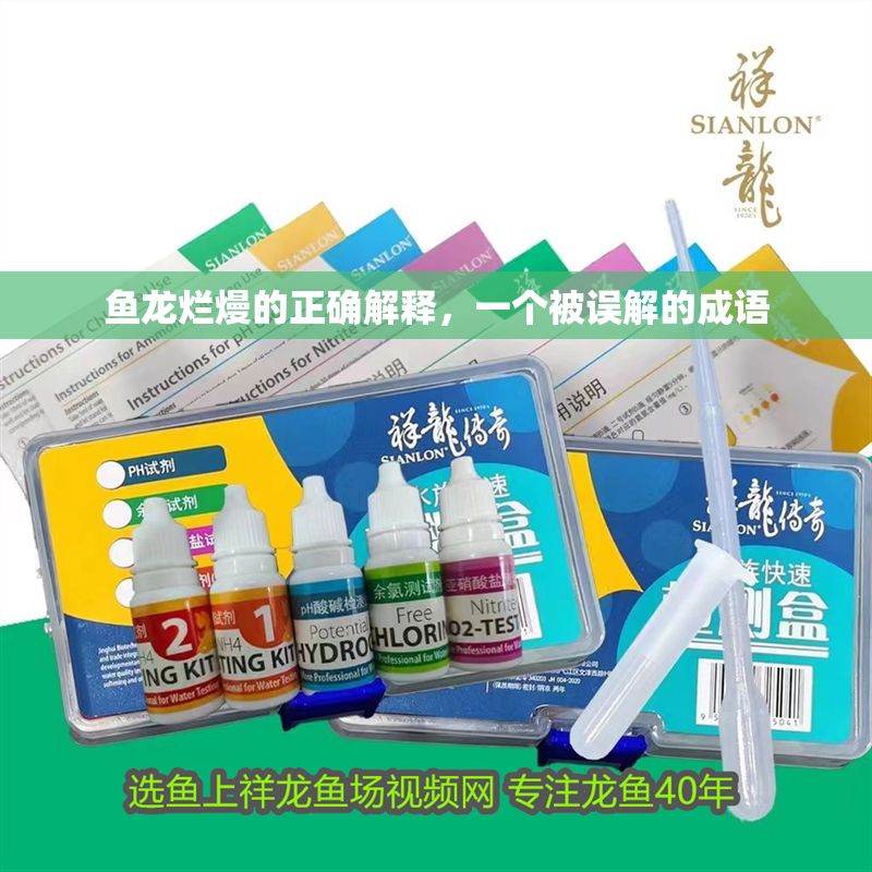 魚龍爛熳的正確解釋，一個被誤解的成語