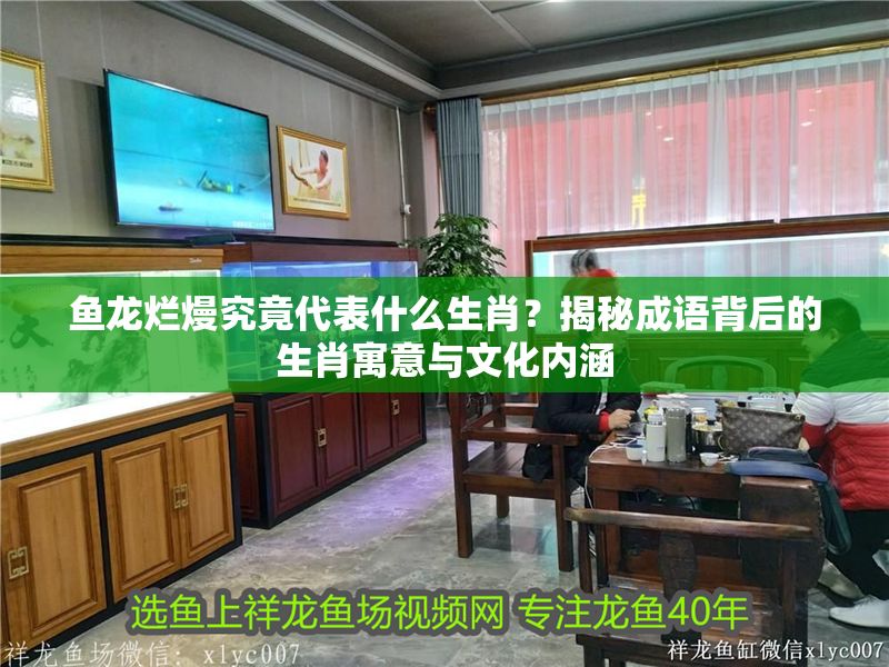 魚龍爛熳究竟代表什么生肖？揭秘成語背后的生肖寓意與文化內(nèi)涵