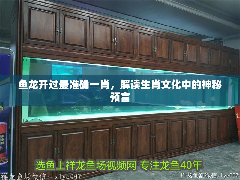 魚龍開過最準確一肖，解讀生肖文化中的神秘預言