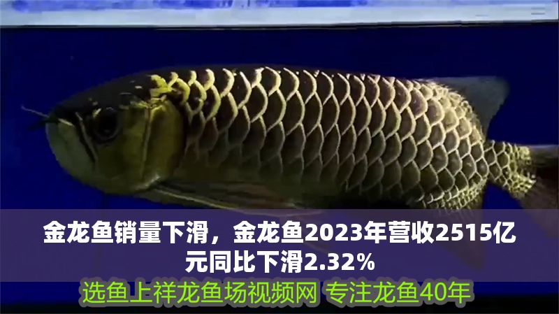 金龍魚銷量下滑，金龍魚2023年營收2515億元同比下滑2.32%