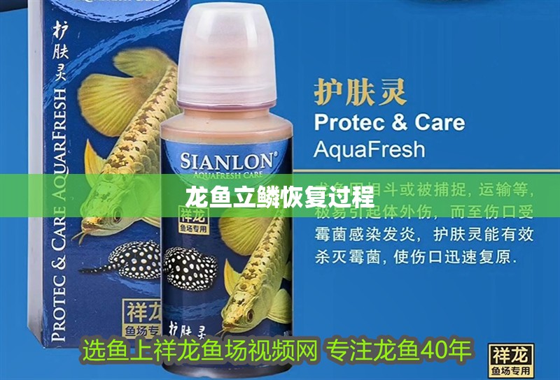 魚缸用增氧泵價格是多少:魚缸增氧機-xtrac增氧機-xtrac增氧機 龍魚立鱗恢復過程 龍魚百科 龍魚立鱗恢復過程 龍魚立鱗恢復過程 龍魚百科