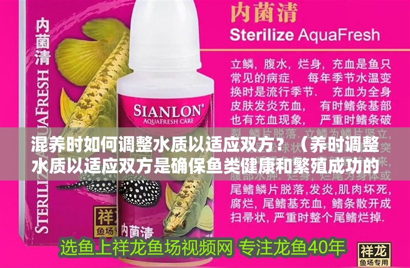 混養(yǎng)時如何調整水質以適應雙方？（養(yǎng)時調整水質以適應雙方是確保魚類健康和繁殖成功的關鍵）