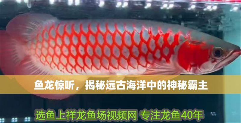 魚龍驚聽，揭秘遠古海洋中的神秘霸主