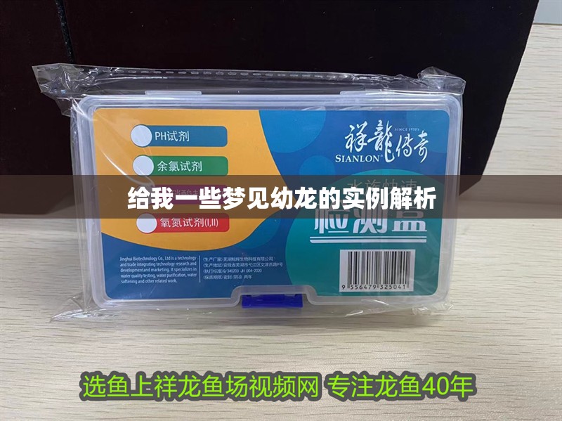 給我一些夢(mèng)見幼龍的實(shí)例解析 給我一些夢(mèng)見幼龍的實(shí)例解析 龍魚百科