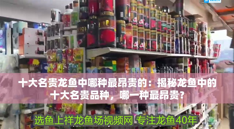 養龍魚講究白缸藍缸是什么意思（養龍魚時缸色的選擇有講究） 養龍魚講究白缸藍缸是什么意思（養龍魚時缸色的選擇有講究） 龍魚百科