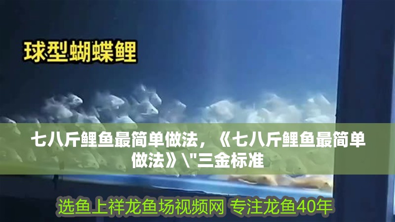 七八斤鯉魚最簡單做法，《七八斤鯉魚最簡單做法》 七八斤鯉魚最簡單做法，《七八斤鯉魚最簡單做法》\
