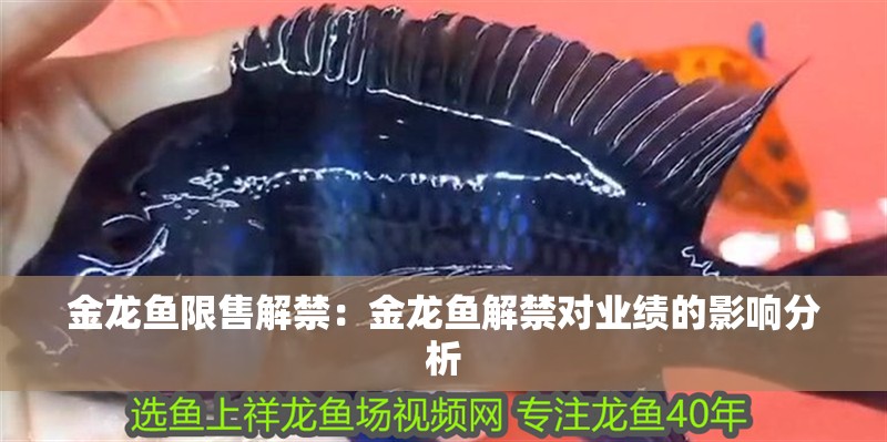 金龍魚限售解禁：金龍魚解禁對業績的影響分析