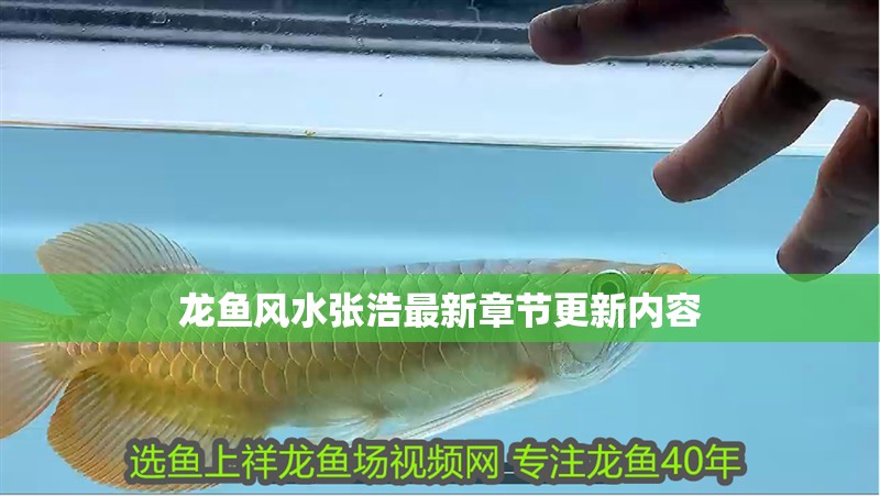 龍魚風水張浩最新章節更新內容