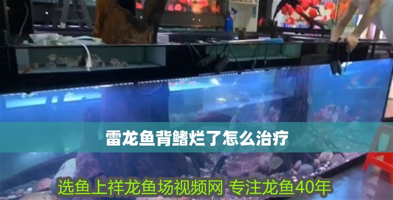 雷龍魚背鰭爛了怎么治療