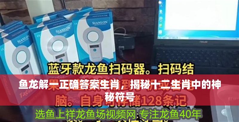 魚龍解一正確答案生肖，揭秘十二生肖中的神秘符號 魚龍解一正確答案生肖，揭秘十二生肖中的神秘符號 龍魚百科 第1張