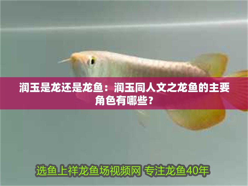 潤玉是龍還是龍魚：潤玉同人文之龍魚的主要角色有哪些？