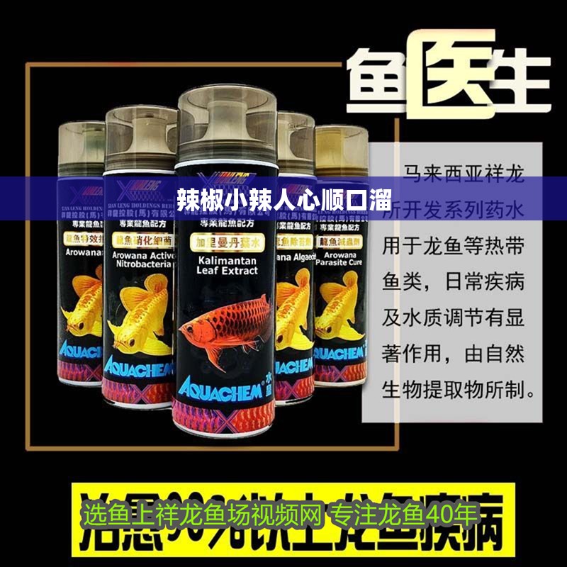 辣椒小辣人心順口溜