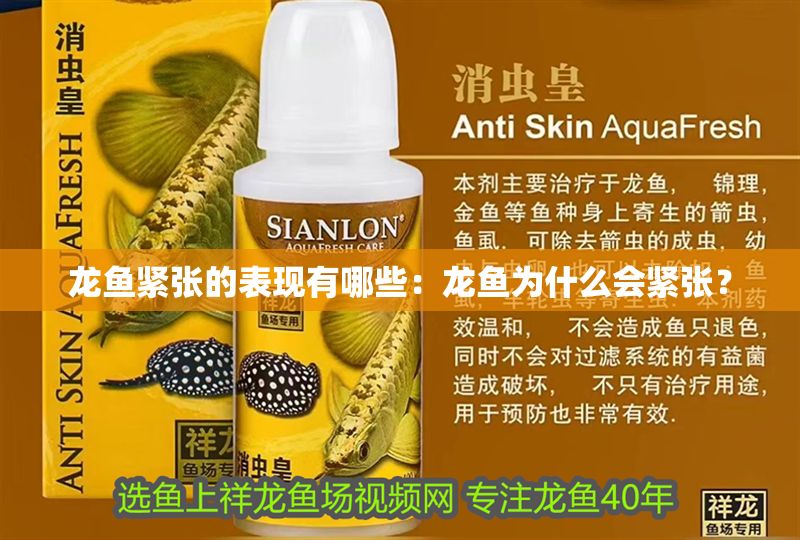 龍魚(yú)緊張的表現(xiàn)有哪些：龍魚(yú)為什么會(huì)緊張？ 龍魚(yú)緊張的表現(xiàn)有哪些：龍魚(yú)為什么會(huì)緊張？ 龍魚(yú)百科 第2張