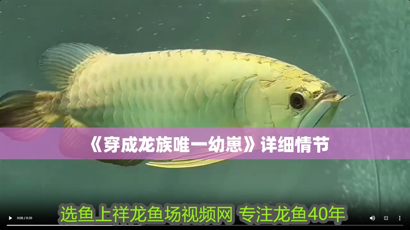 《穿成龍族唯一幼崽》詳細情節