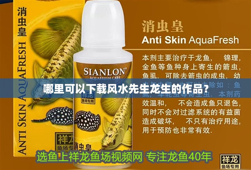 哪里可以下載風(fēng)水先生龍生的作品？ 哪里可以下載風(fēng)水先生龍生的作品？ 龍魚(yú)百科