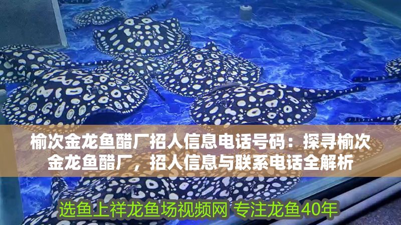 榆次金龍魚醋廠招人信息電話號碼：探尋榆次金龍魚醋廠，招人信息與聯系電話全解析