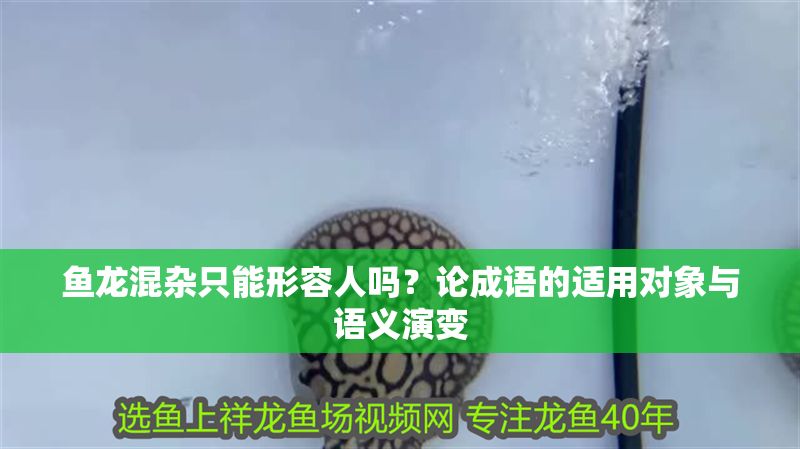 魚龍混雜只能形容人嗎？論成語的適用對象與語義演變
