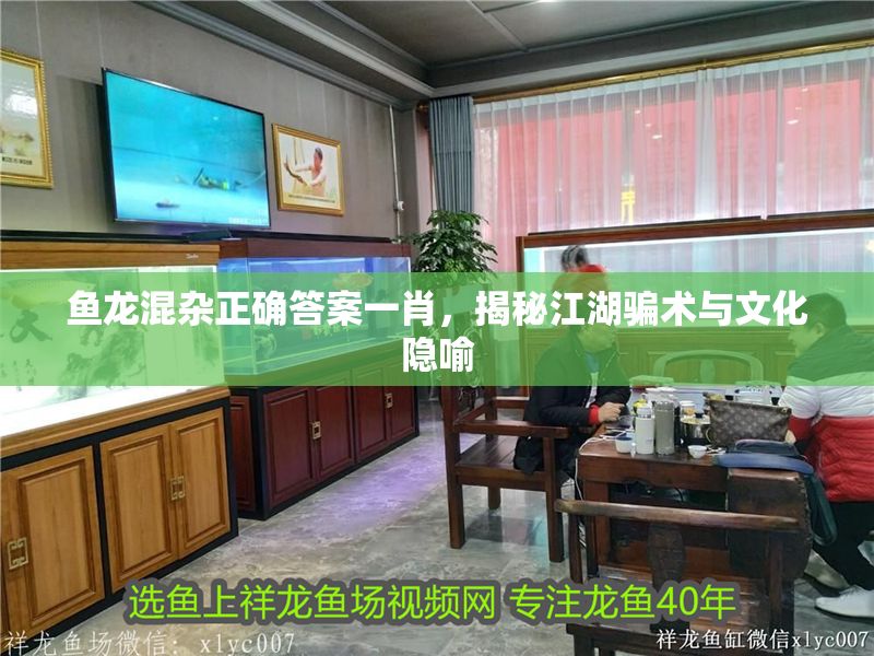 魚龍混雜正確答案一肖，揭秘江湖騙術與文化隱喻