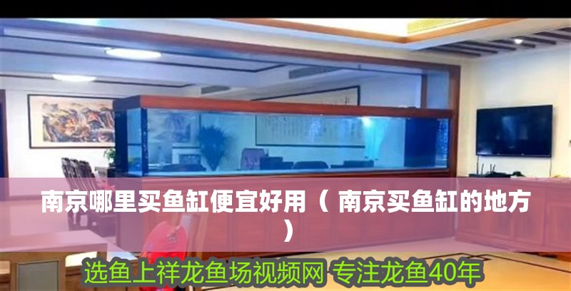 南京哪里買魚缸便宜好用（ 南京買魚缸的地方） 南京哪里買魚缸便宜好用（ 南京買魚缸的地方） 觀賞魚百科