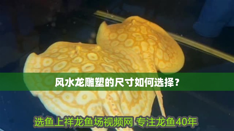 風水龍雕塑的尺寸如何選擇？